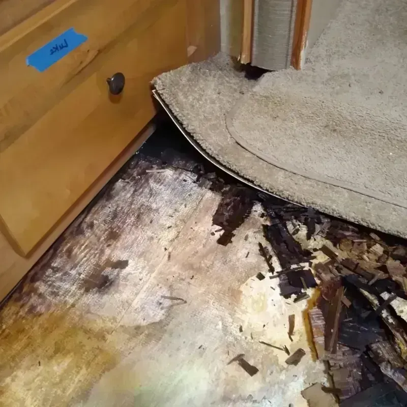 Best Wood Floor Water Damage Service in Butler County, NE